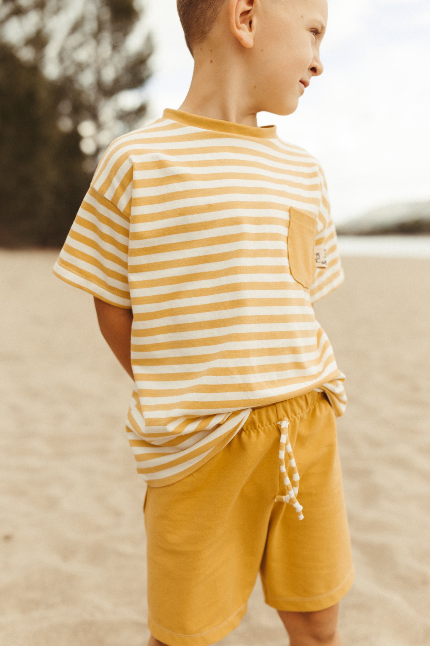 Seaview set